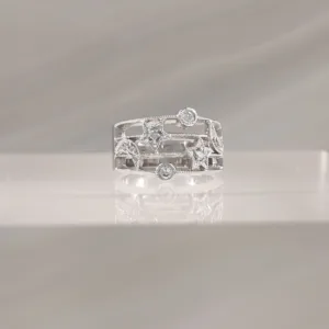 SILVER CONSTELACIONES CRYSTAL 060