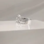 SILVER CONSTELACIONES CRYSTAL 060