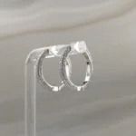Silver Stones Hoops Earrings 052