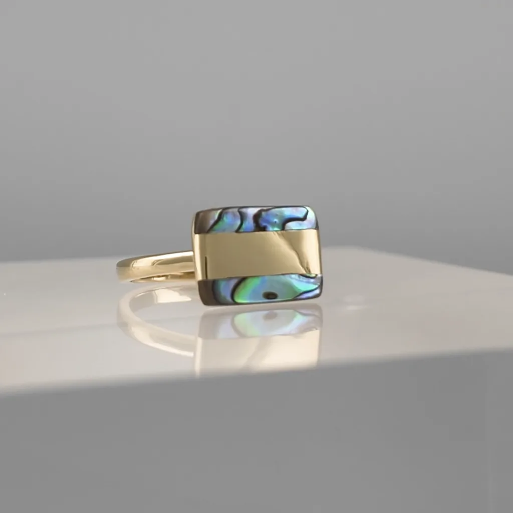 Silver rectangle Black Ring 133