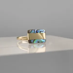 Silver rectangle Black Ring 133