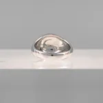 Silver Night Ring 170